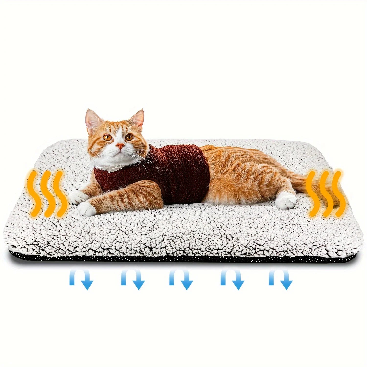 Pet Supplies